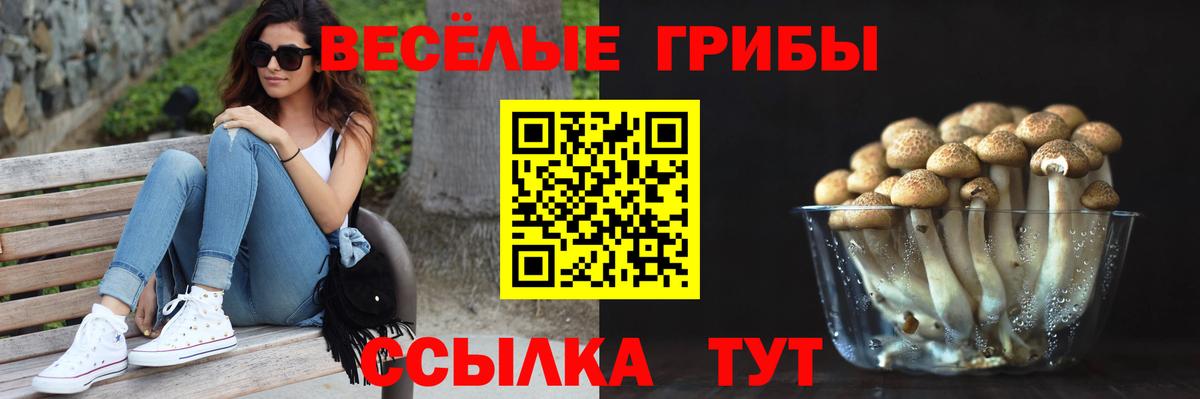 Галлюциногенные грибы Magic Shrooms Бийск