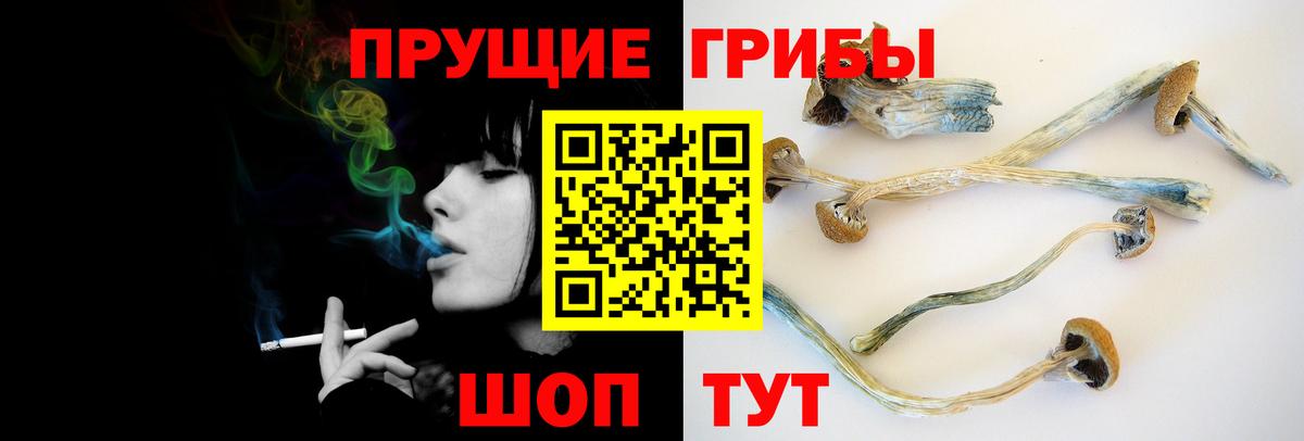 Псилоцибиновые грибы мухоморы  Галлюциногенные грибы Psilocybine cubensis  Бийск  Вход с VPN 